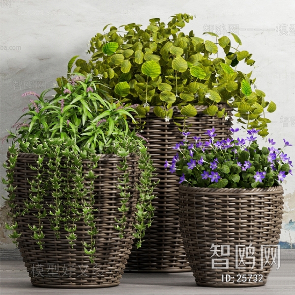 Idyllic Style Country Style Potted Green Plant