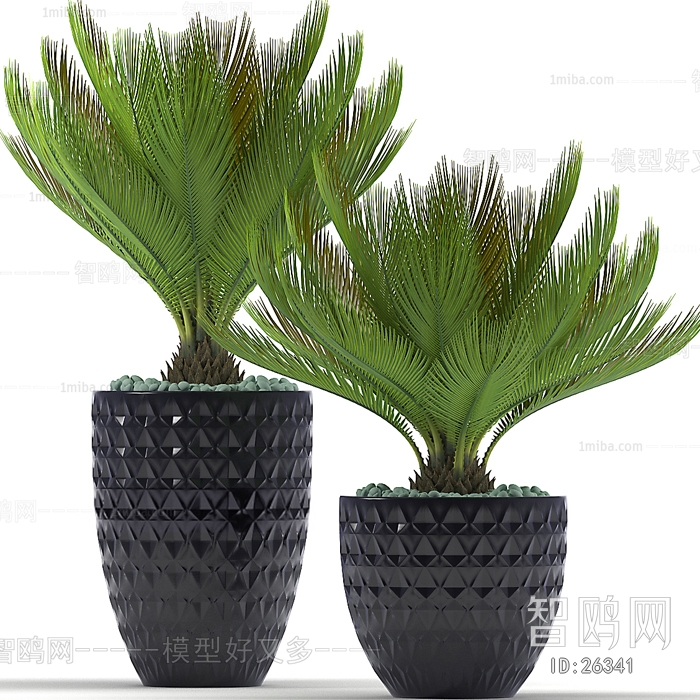 Modern Potted Green Plant