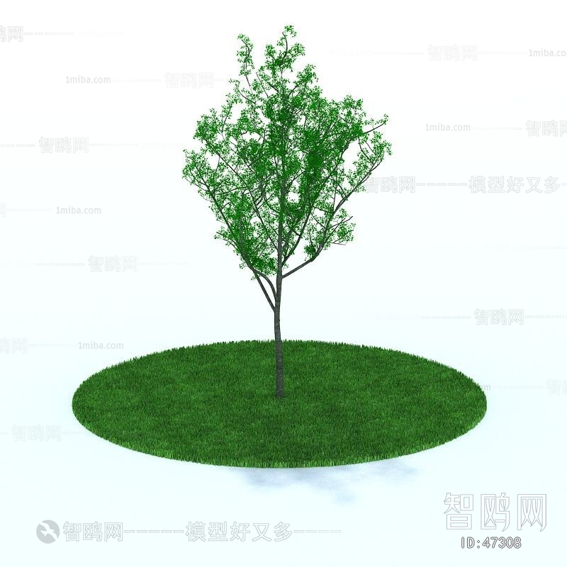 Modern Tree/shrub/grass