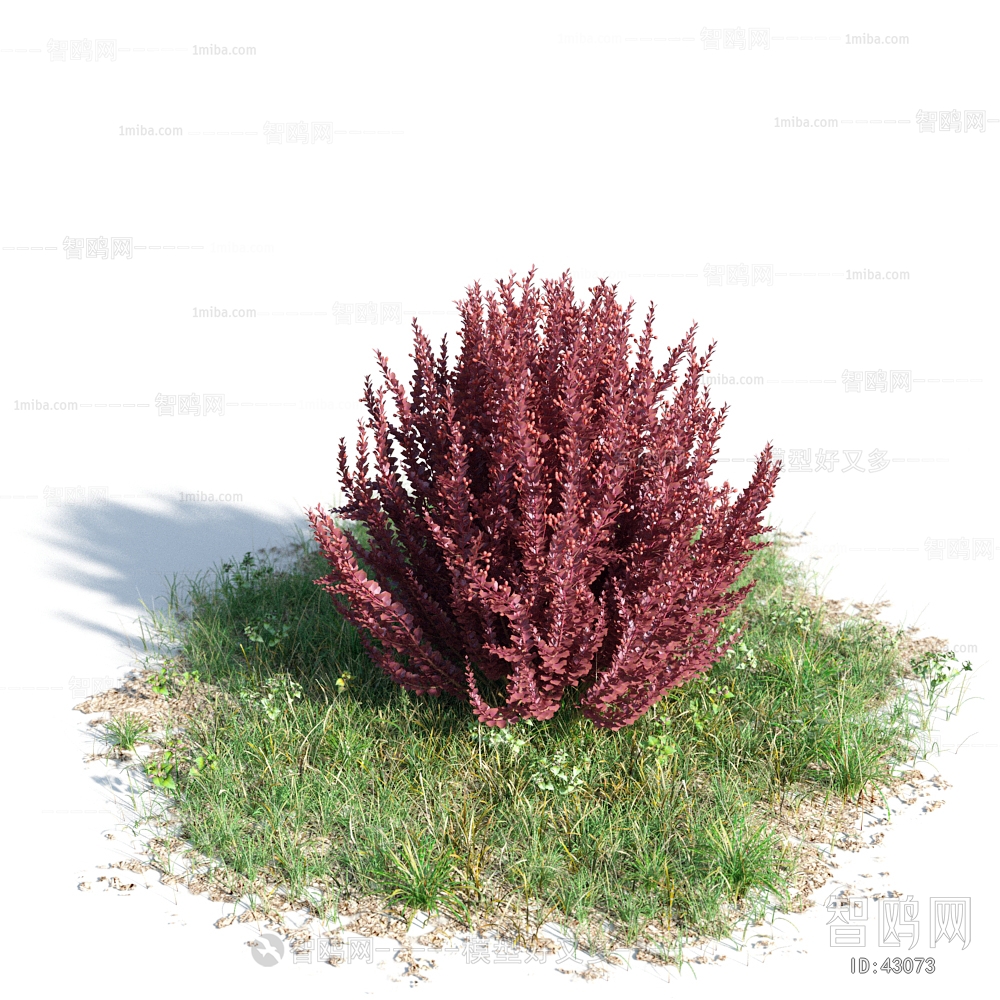 Modern Tree/shrub/grass