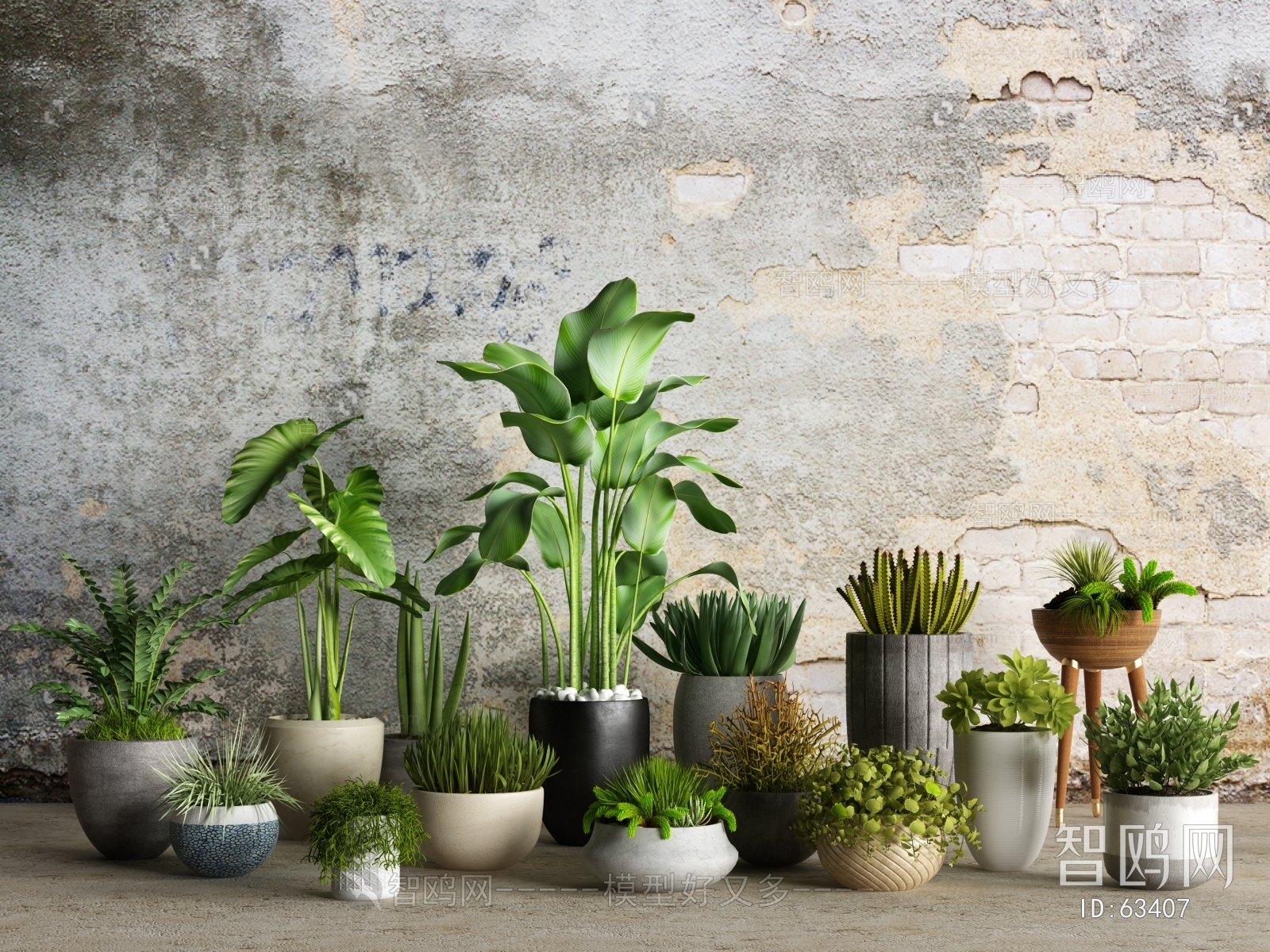 Modern Potted Green Plant