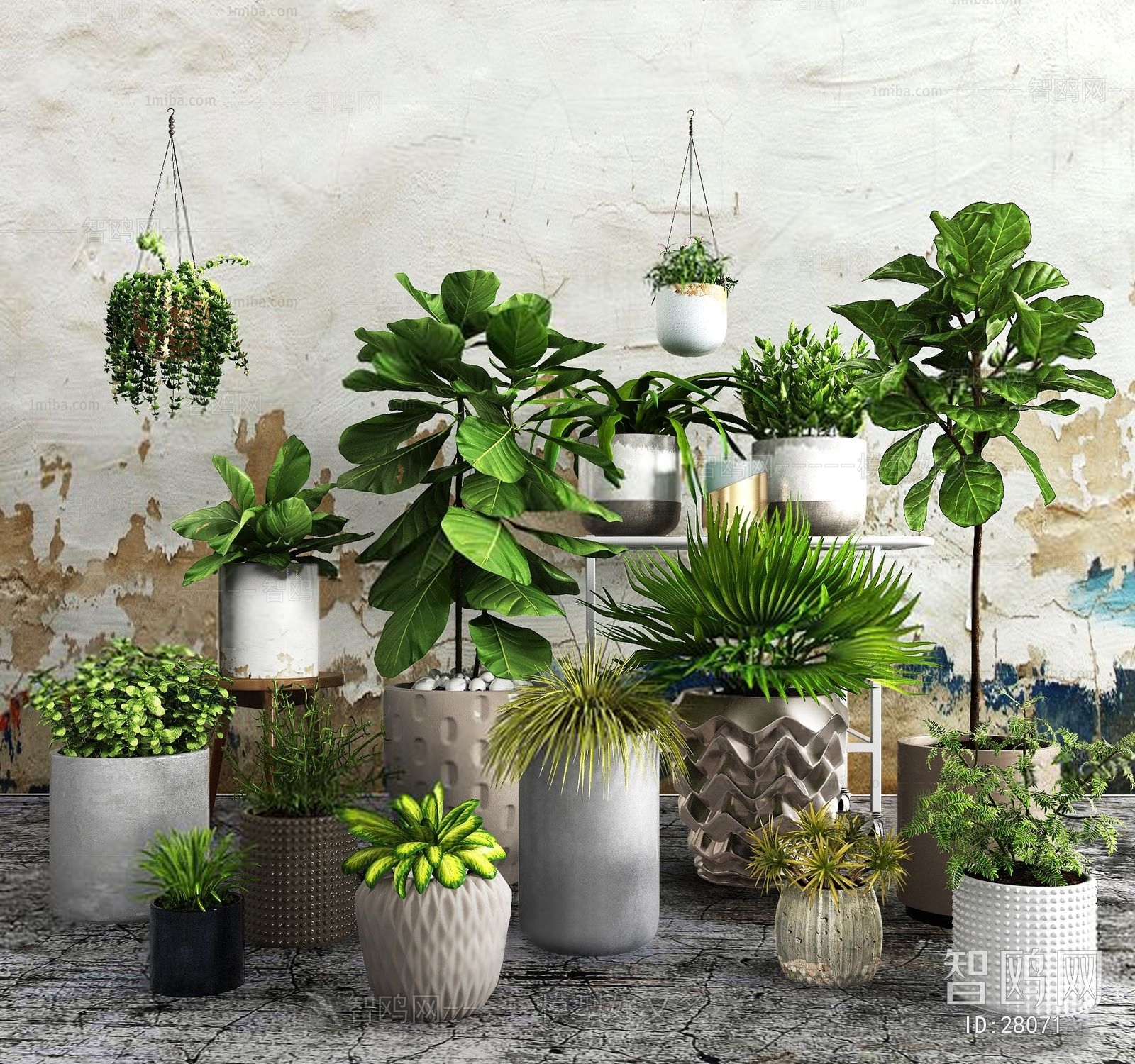 Modern Potted Green Plant