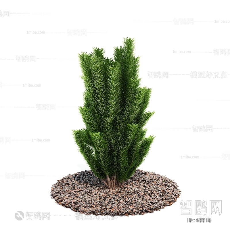 Modern Tree/shrub/grass