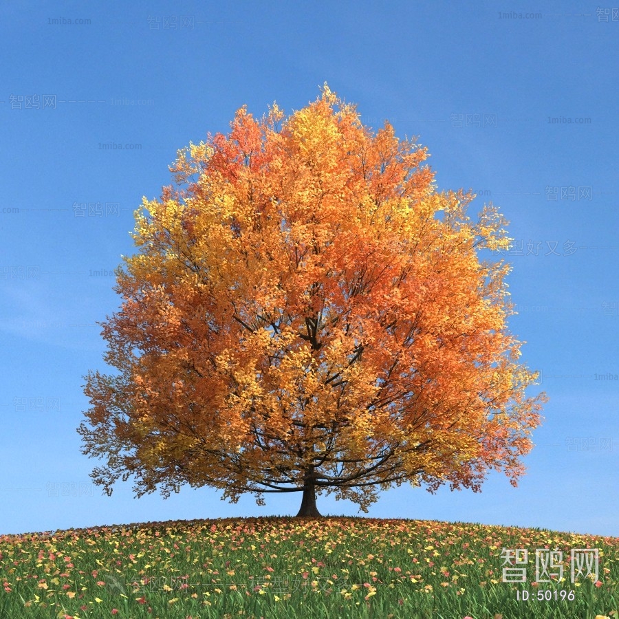 Modern Tree/shrub/grass