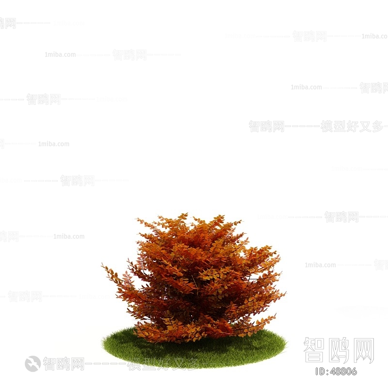 Modern Tree/shrub/grass