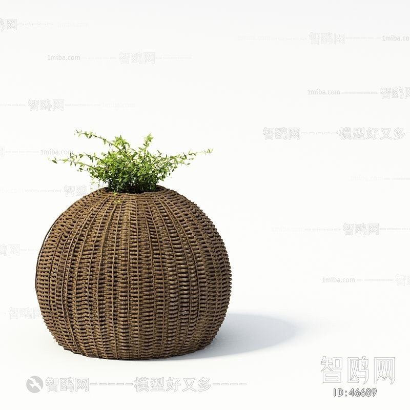 Modern Potted Green Plant