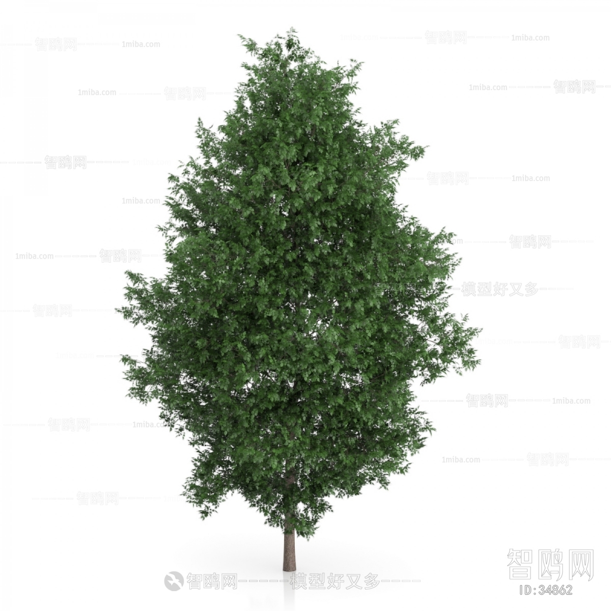 Modern Tree/shrub/grass