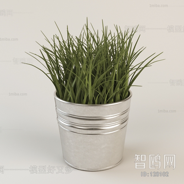 Modern Potted Green Plant