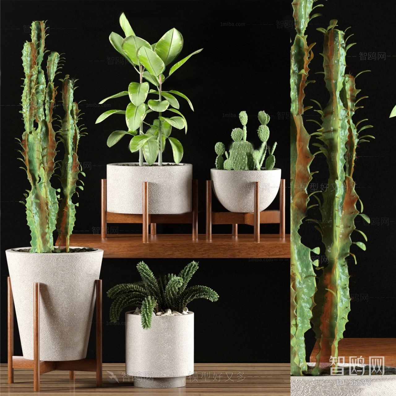 Modern Potted Green Plant