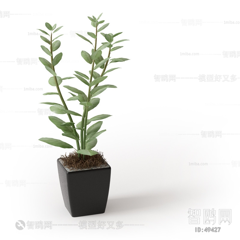 Modern Potted Green Plant