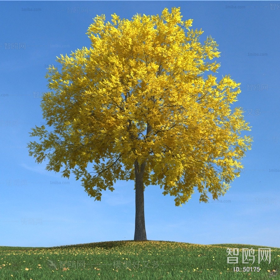 Modern Tree/shrub/grass