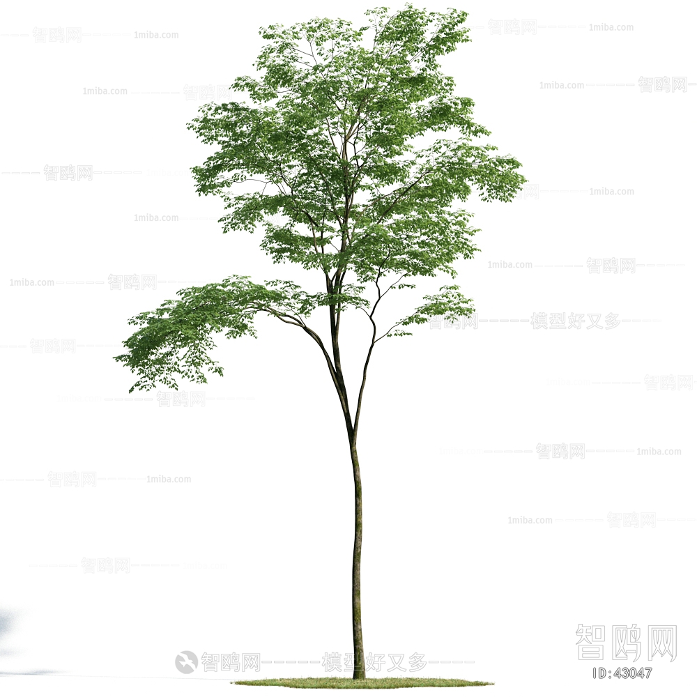 Modern Tree/shrub/grass