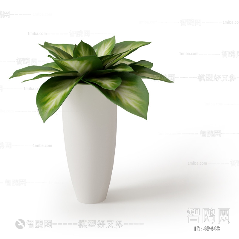 Modern Potted Green Plant