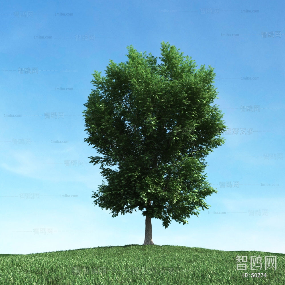 Modern Tree/shrub/grass