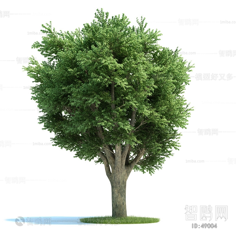 Modern Tree/shrub/grass