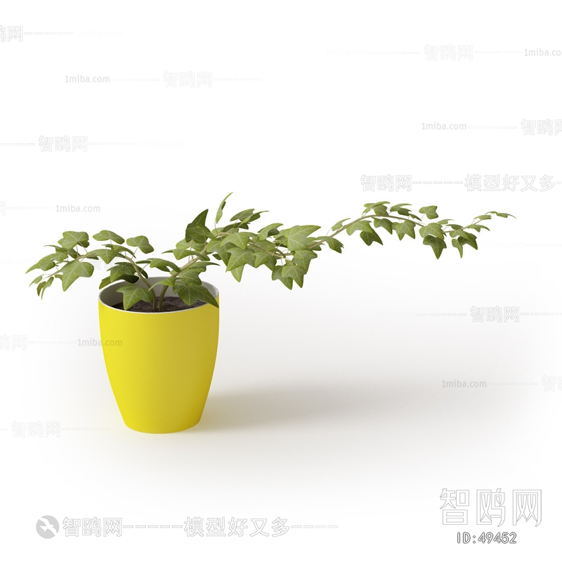 Modern Potted Green Plant