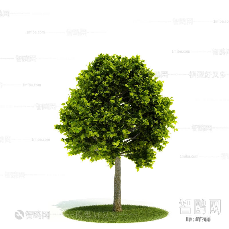 Modern Tree/shrub/grass