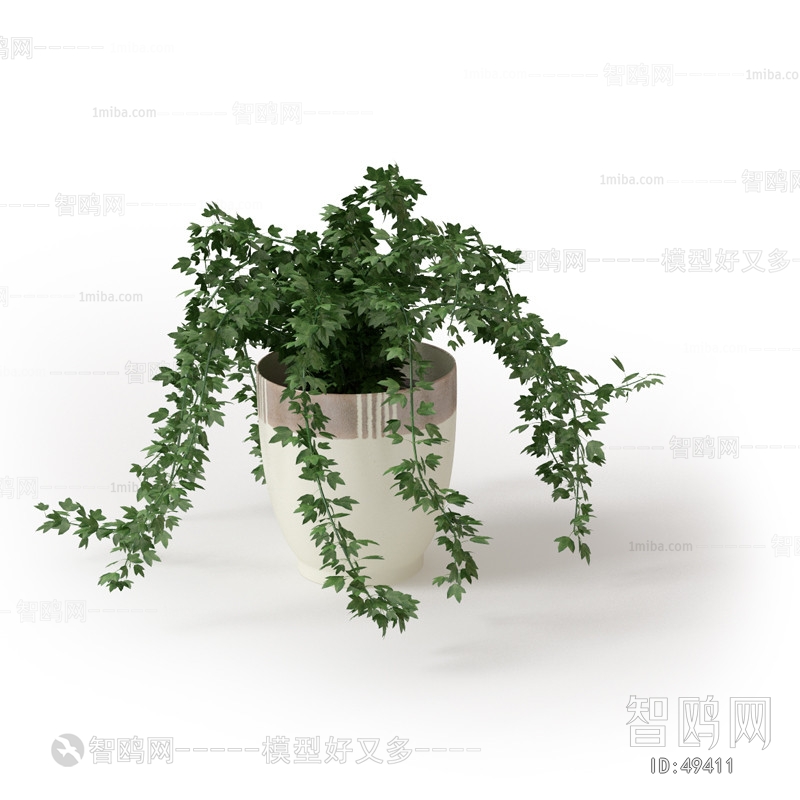 Modern Potted Green Plant