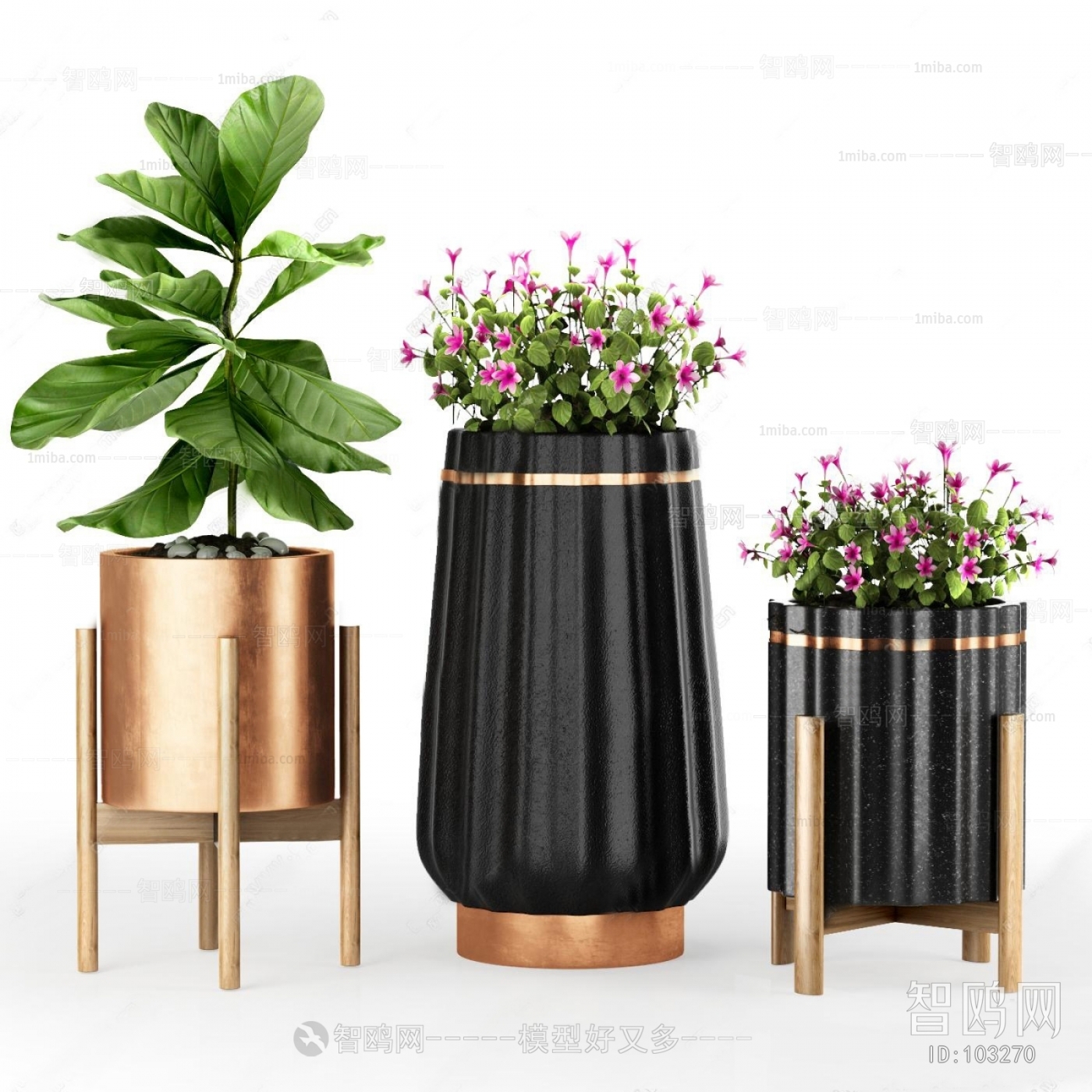 Modern Potted Green Plant