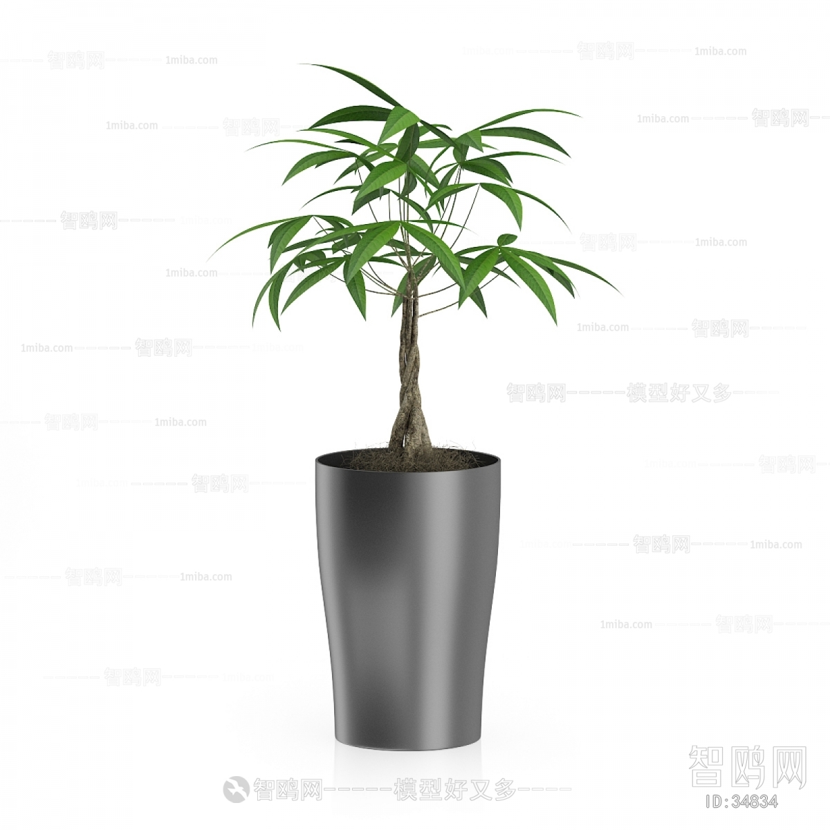 Modern Potted Green Plant