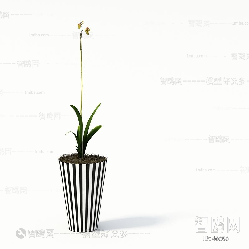 Modern Potted Green Plant