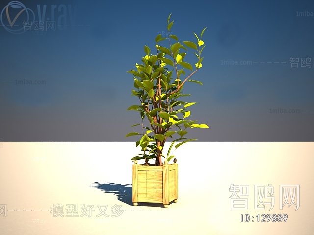 Modern Potted Green Plant