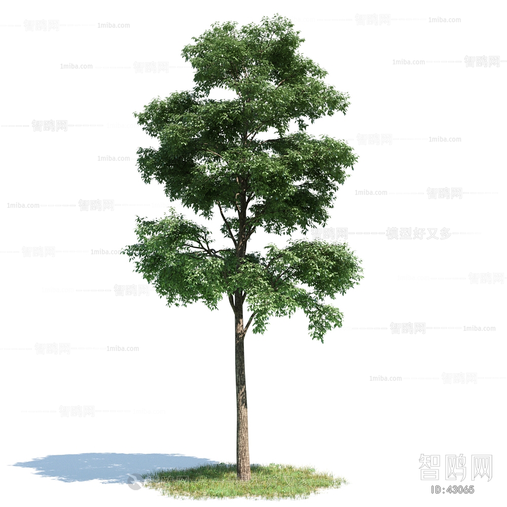 Modern Tree/shrub/grass