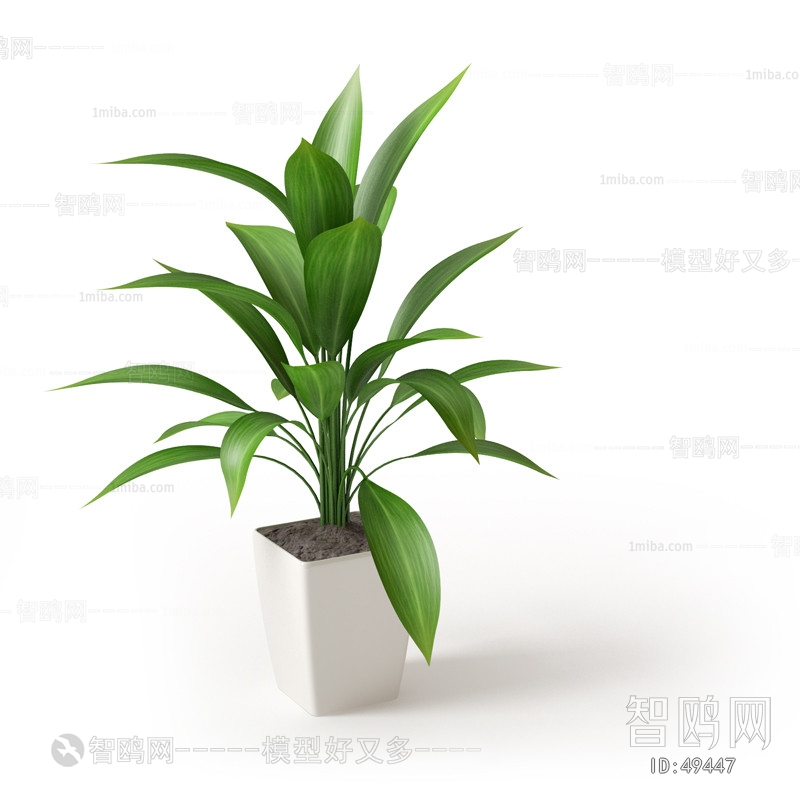 Modern Potted Green Plant