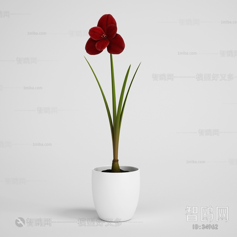 Modern Flowers