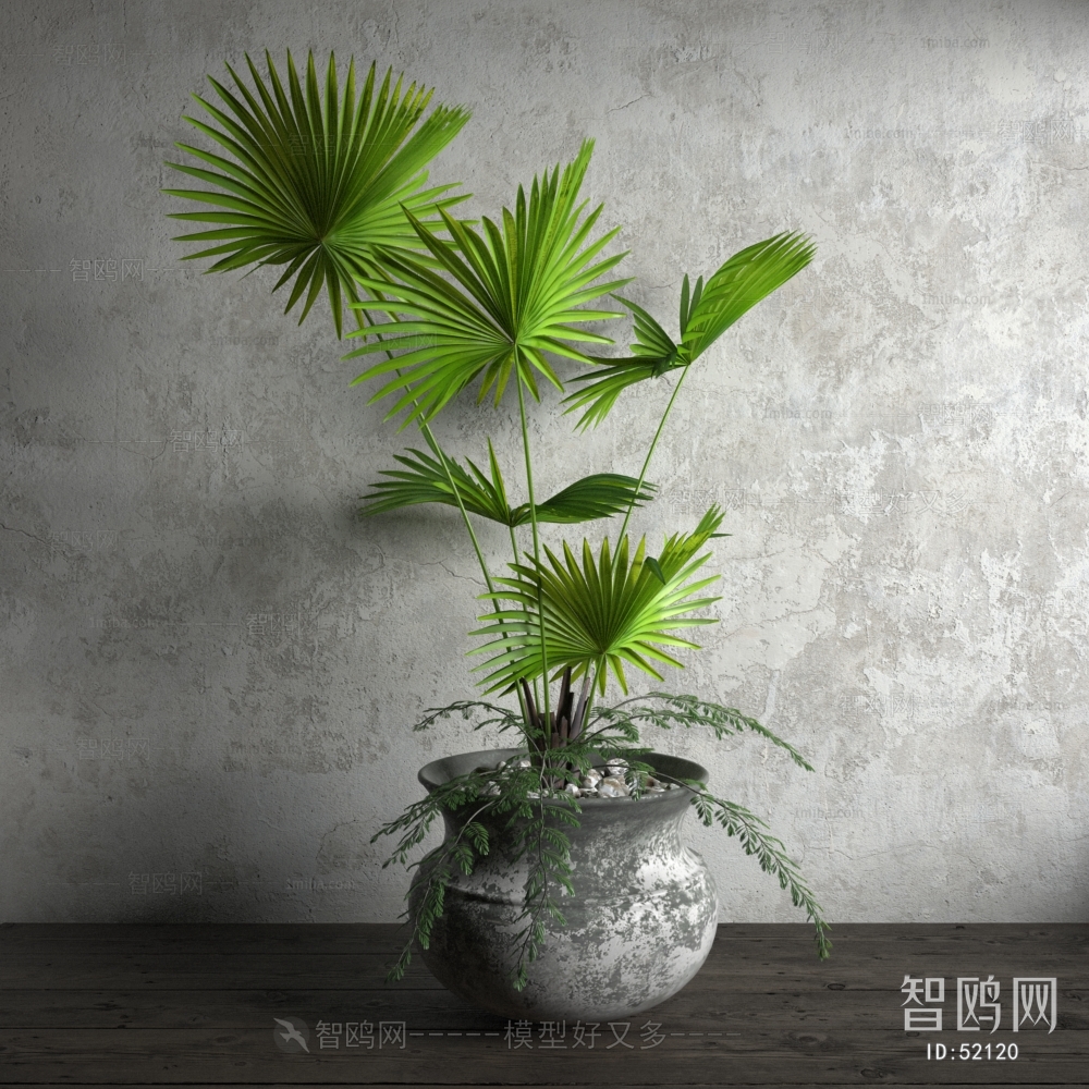 Modern Potted Green Plant