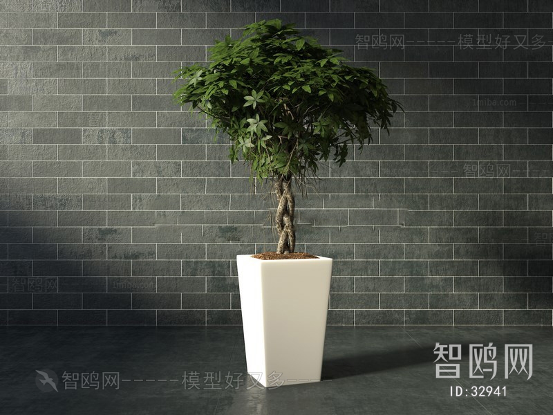 Modern Potted Green Plant