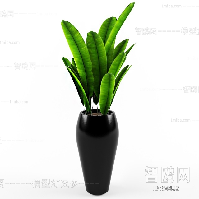 Modern Potted Green Plant