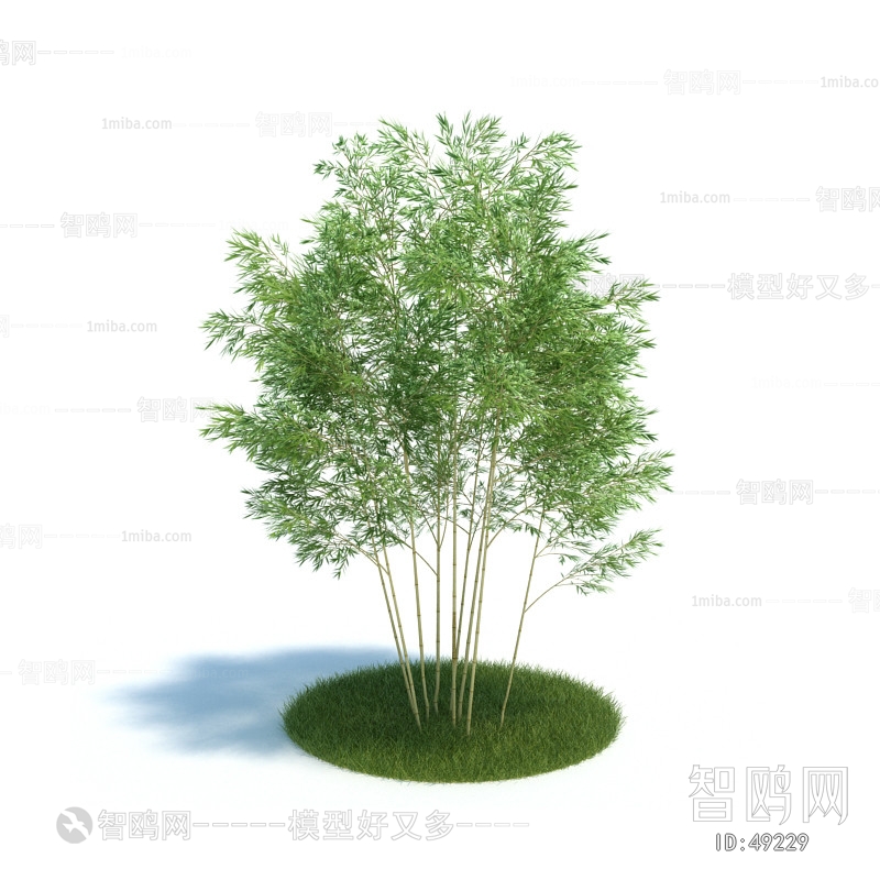 Modern Tree/shrub/grass