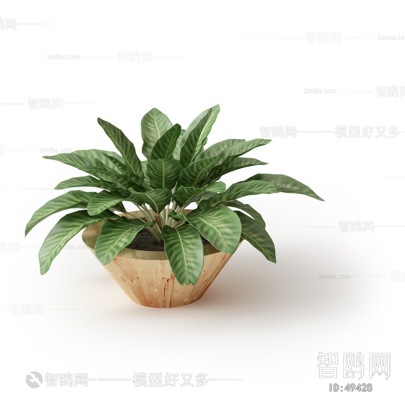 Modern Potted Green Plant