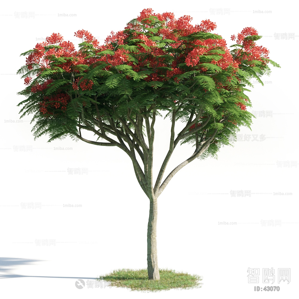 Modern Tree/shrub/grass