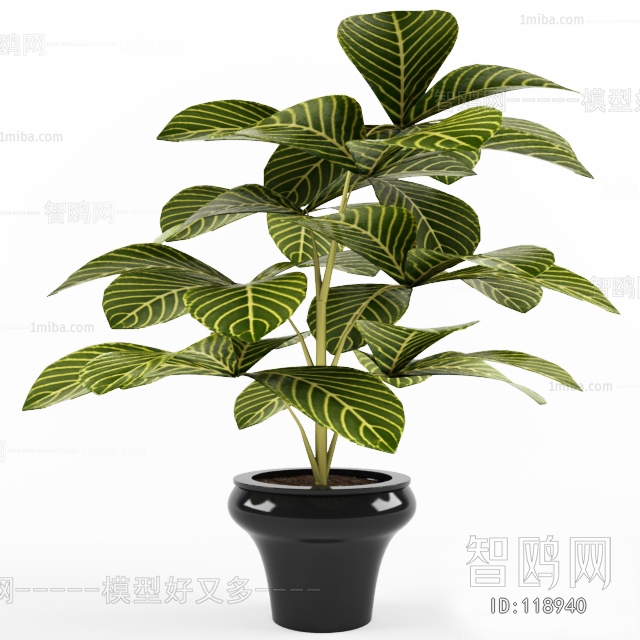 Modern Potted Green Plant