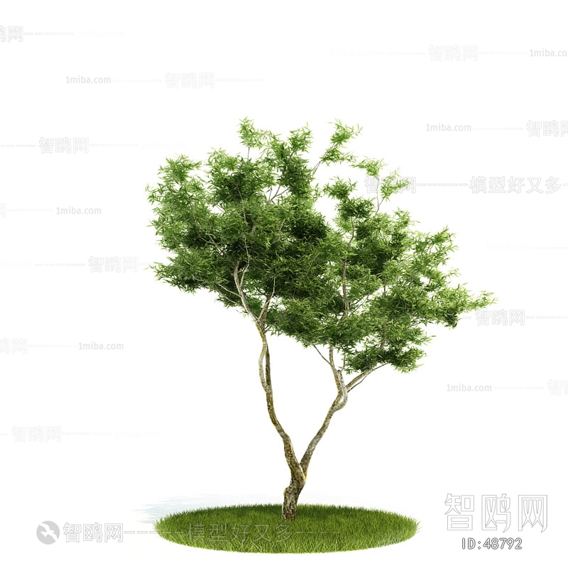 Modern Tree/shrub/grass