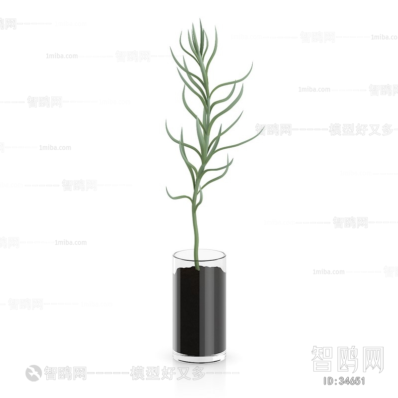 Modern Potted Green Plant