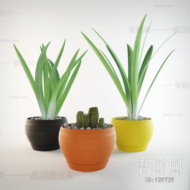 Modern Potted Green Plant