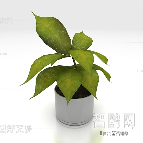 Modern Potted Green Plant