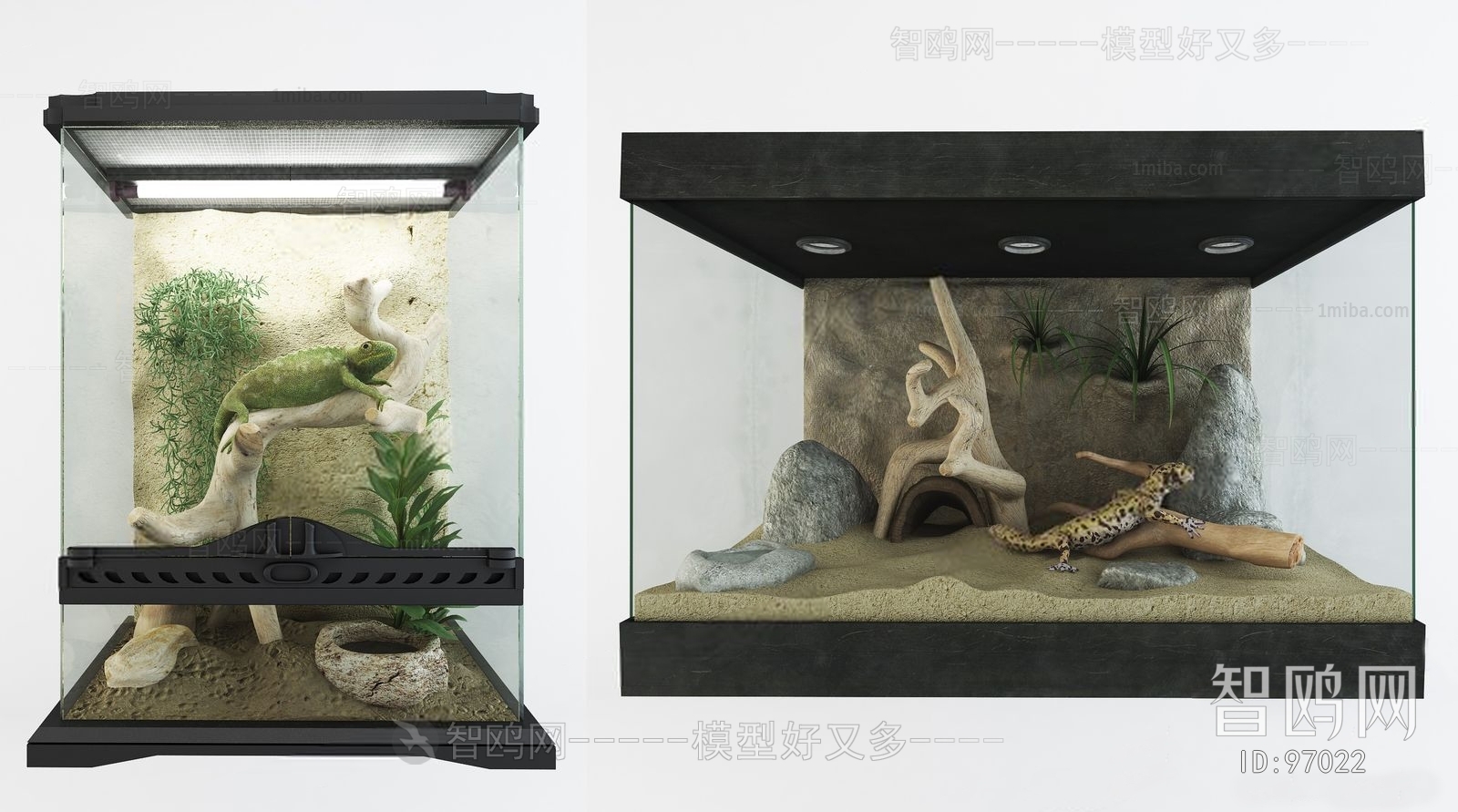 Modern Fish Tank