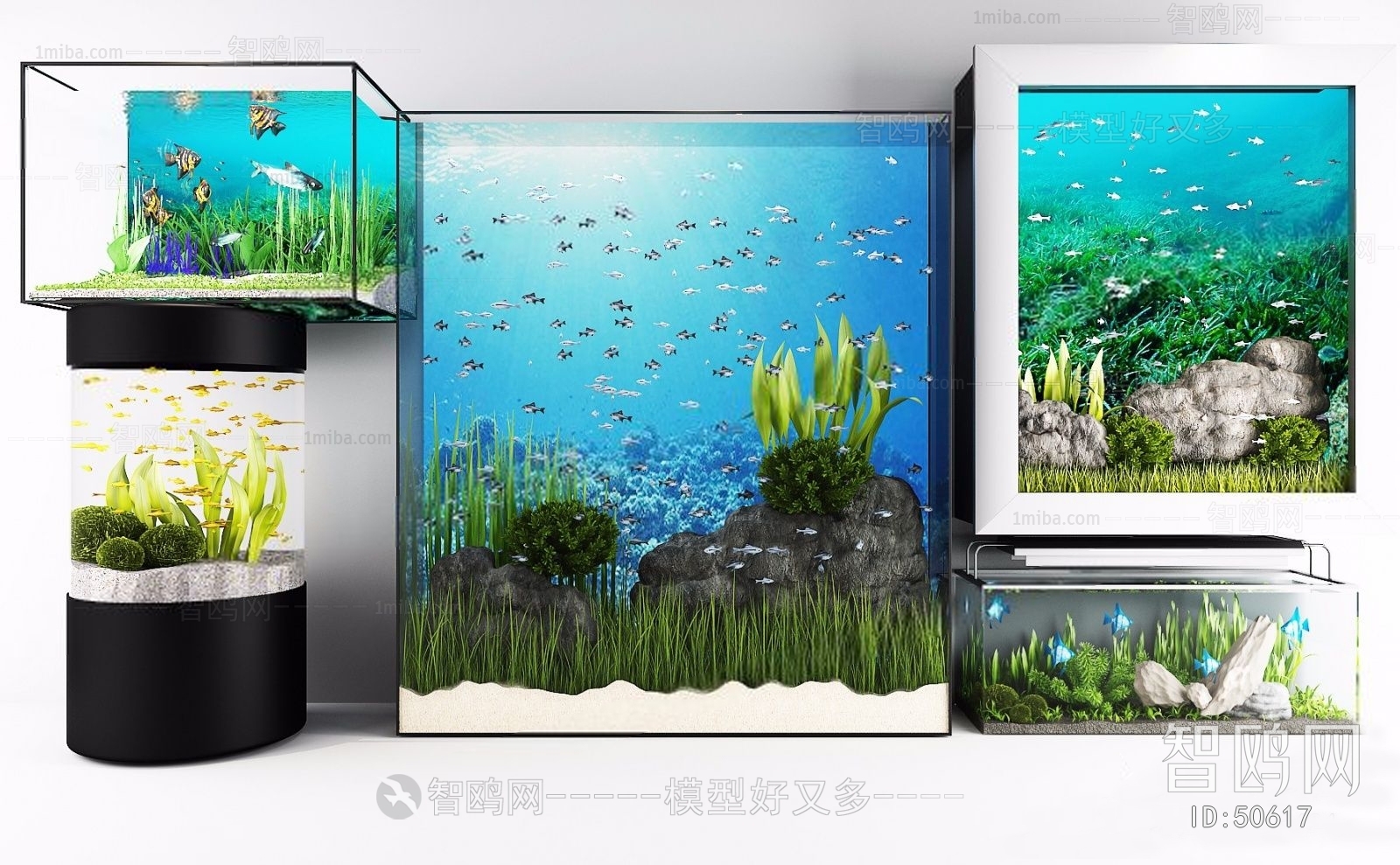 Modern Fish Tank