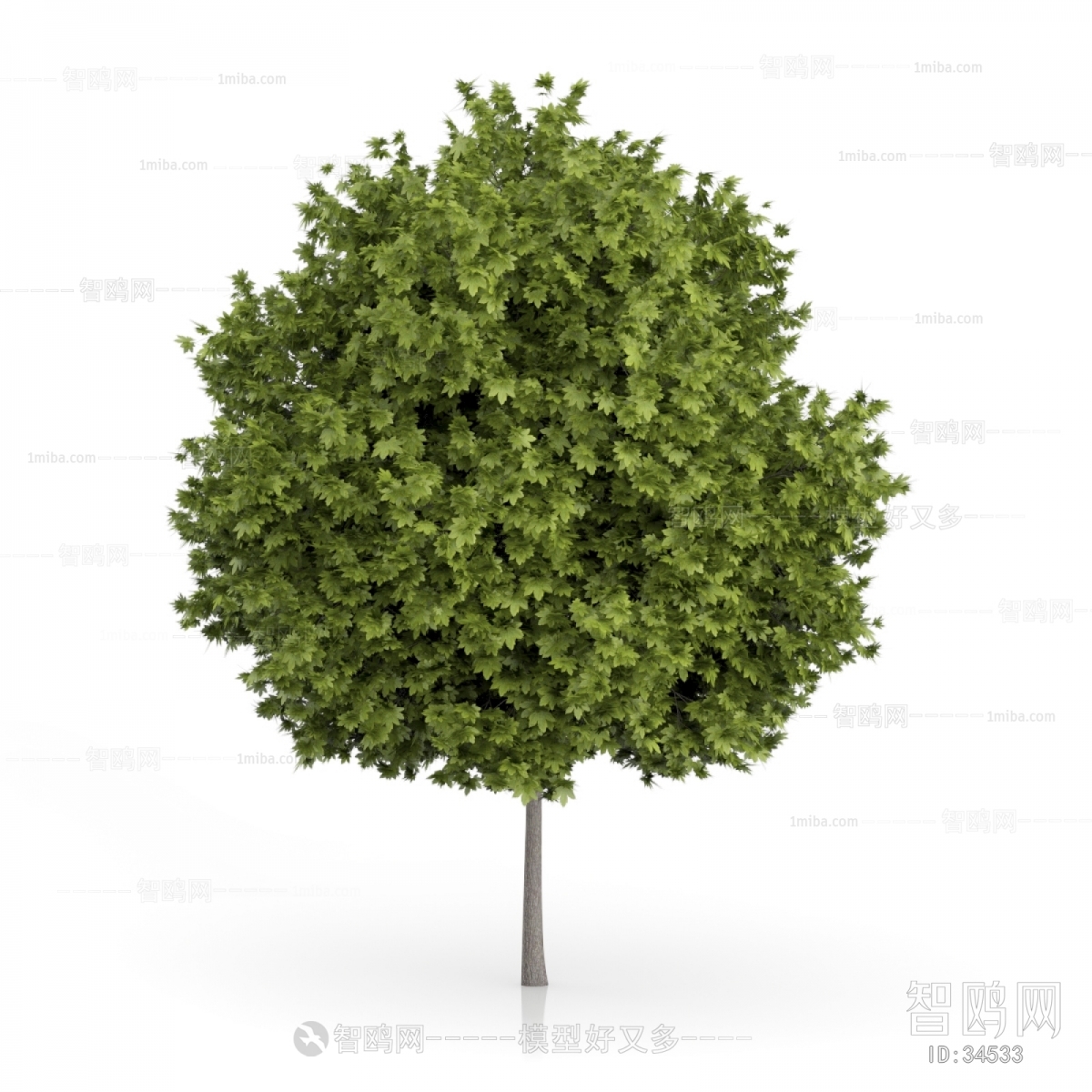 Modern Tree/shrub/grass