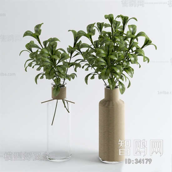 Modern Potted Green Plant