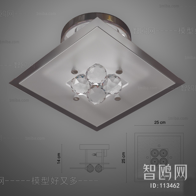 Modern Ceiling Ceiling Lamp