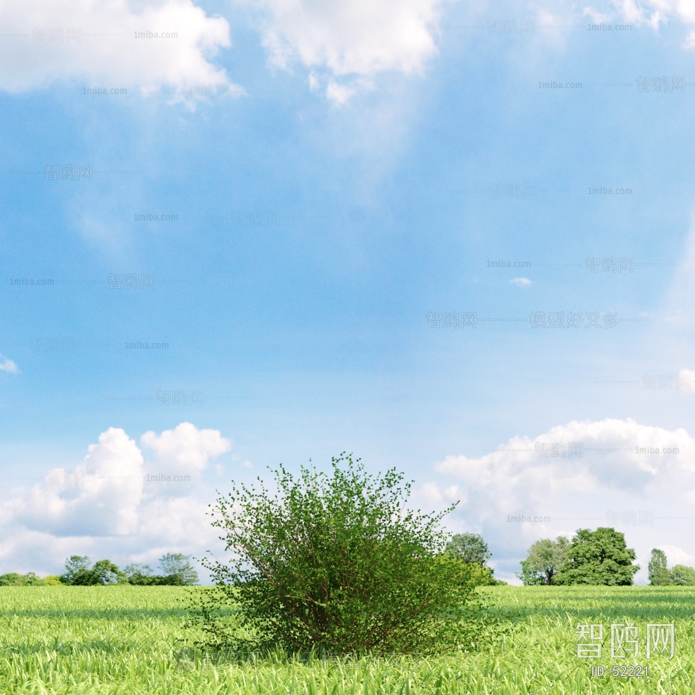 Modern Tree/shrub/grass