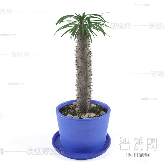 Modern Potted Green Plant