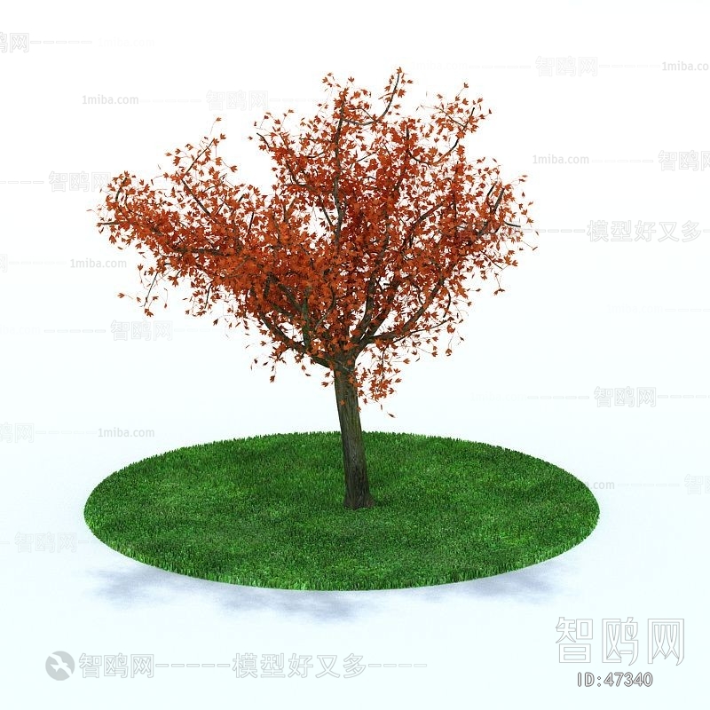 Modern Tree/shrub/grass