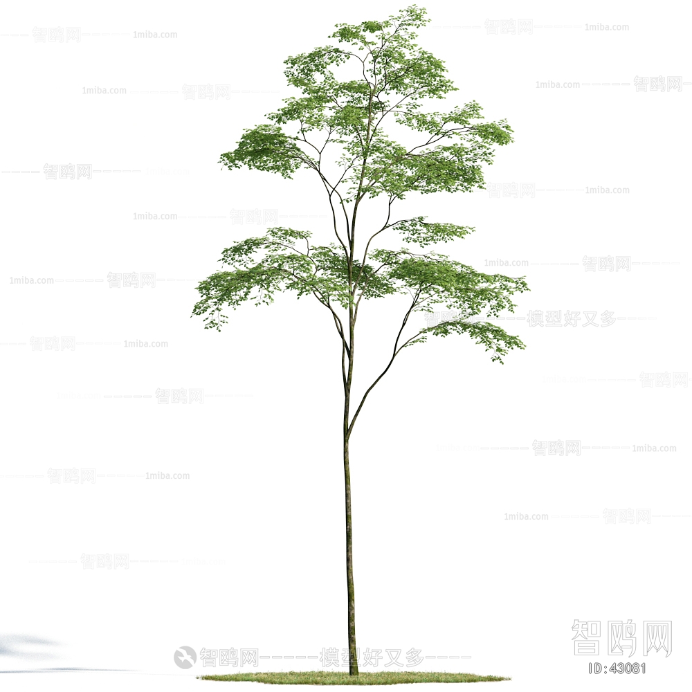 Modern Tree/shrub/grass
