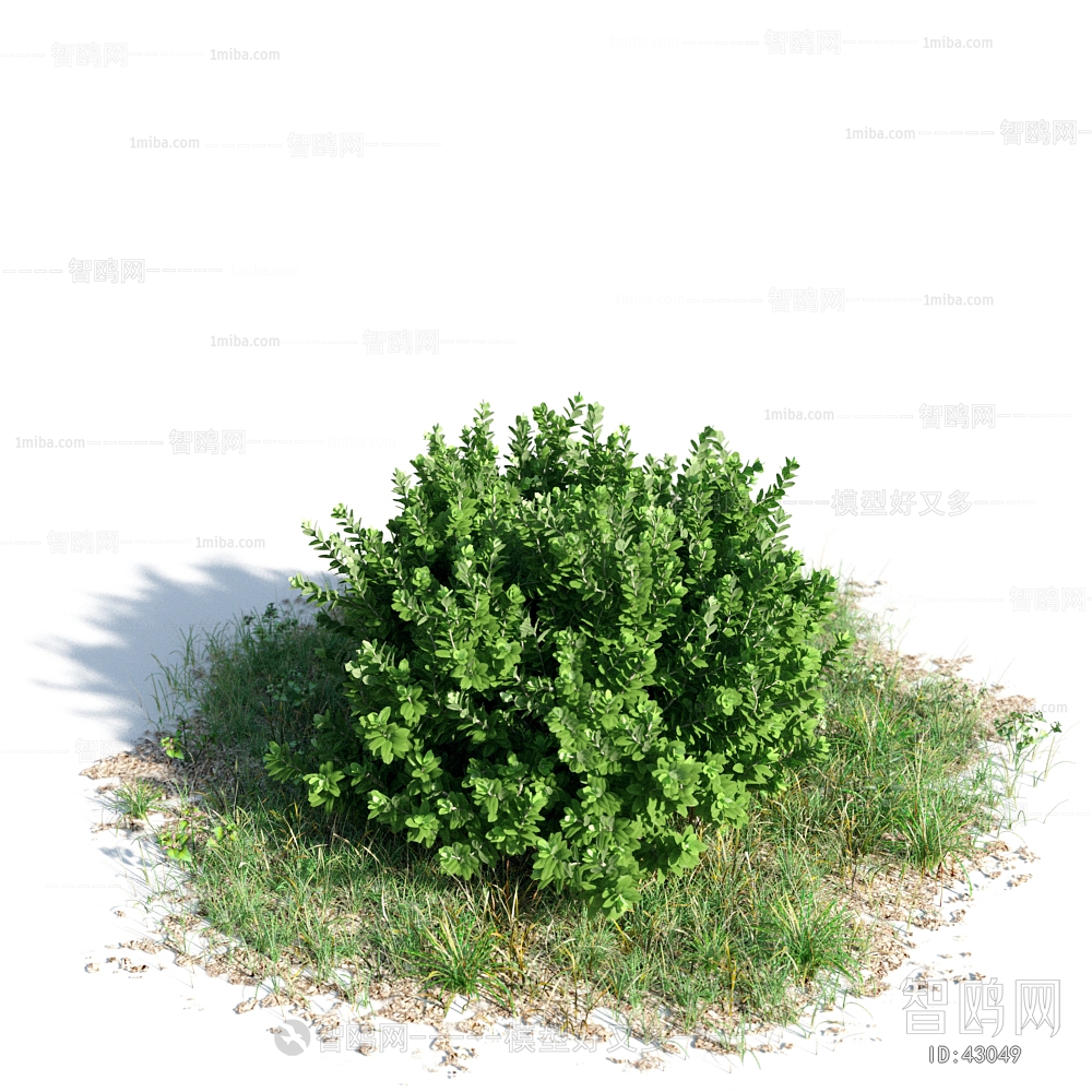 Modern Tree/shrub/grass